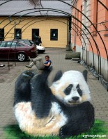 Panda             