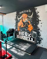 Big Ox Barbell