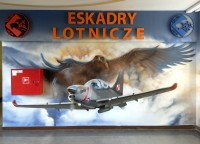 Eskady Lotnicze                    