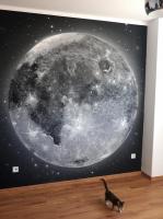 Full moon