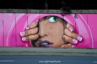 Looking Lady     