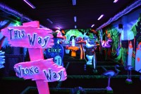 Ale Zebra - UV           